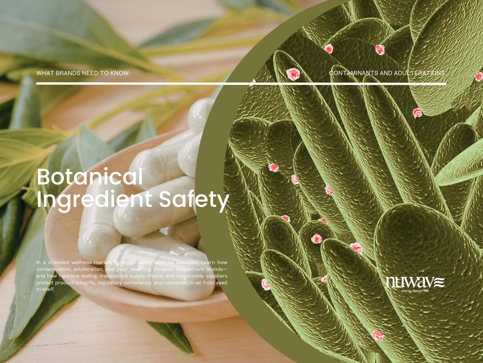 Safety First: What Brand Owners Must Know About Contaminants and Adulteration in Botanicals