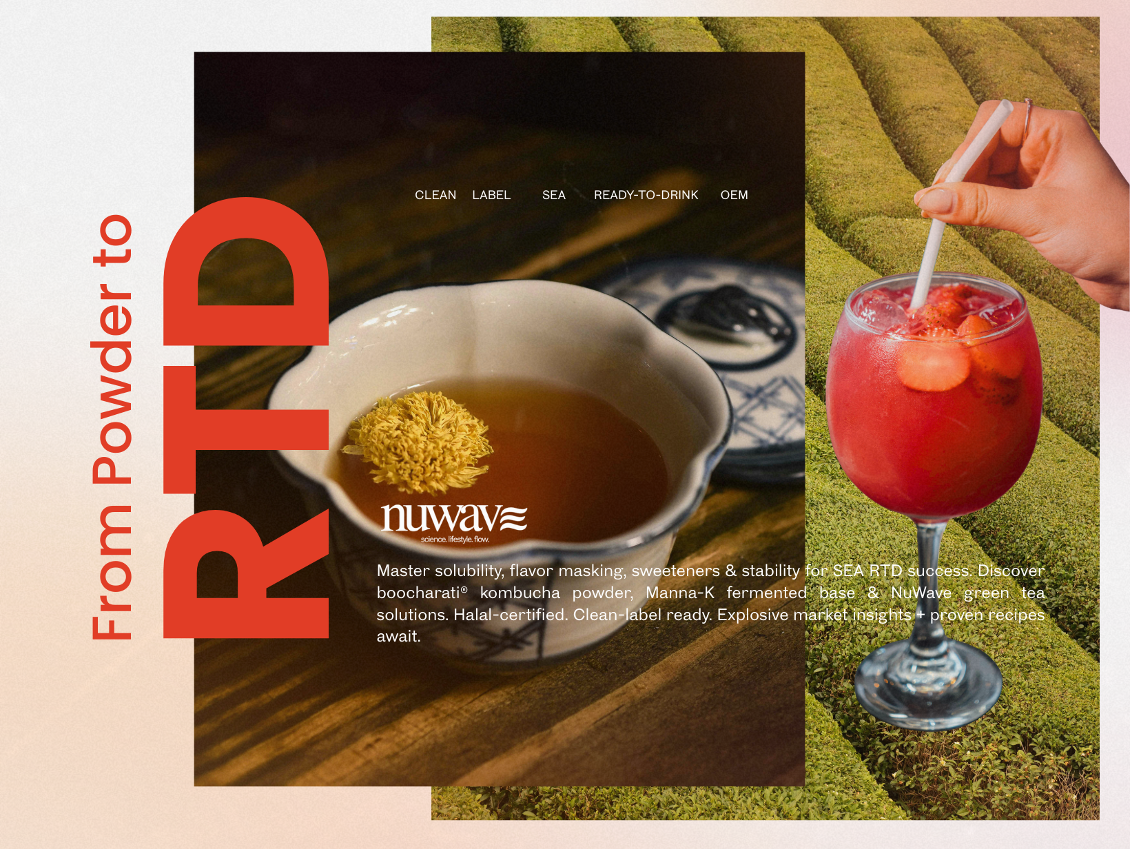 How to Build an RTD Concept Using Functional Ingredient Powders