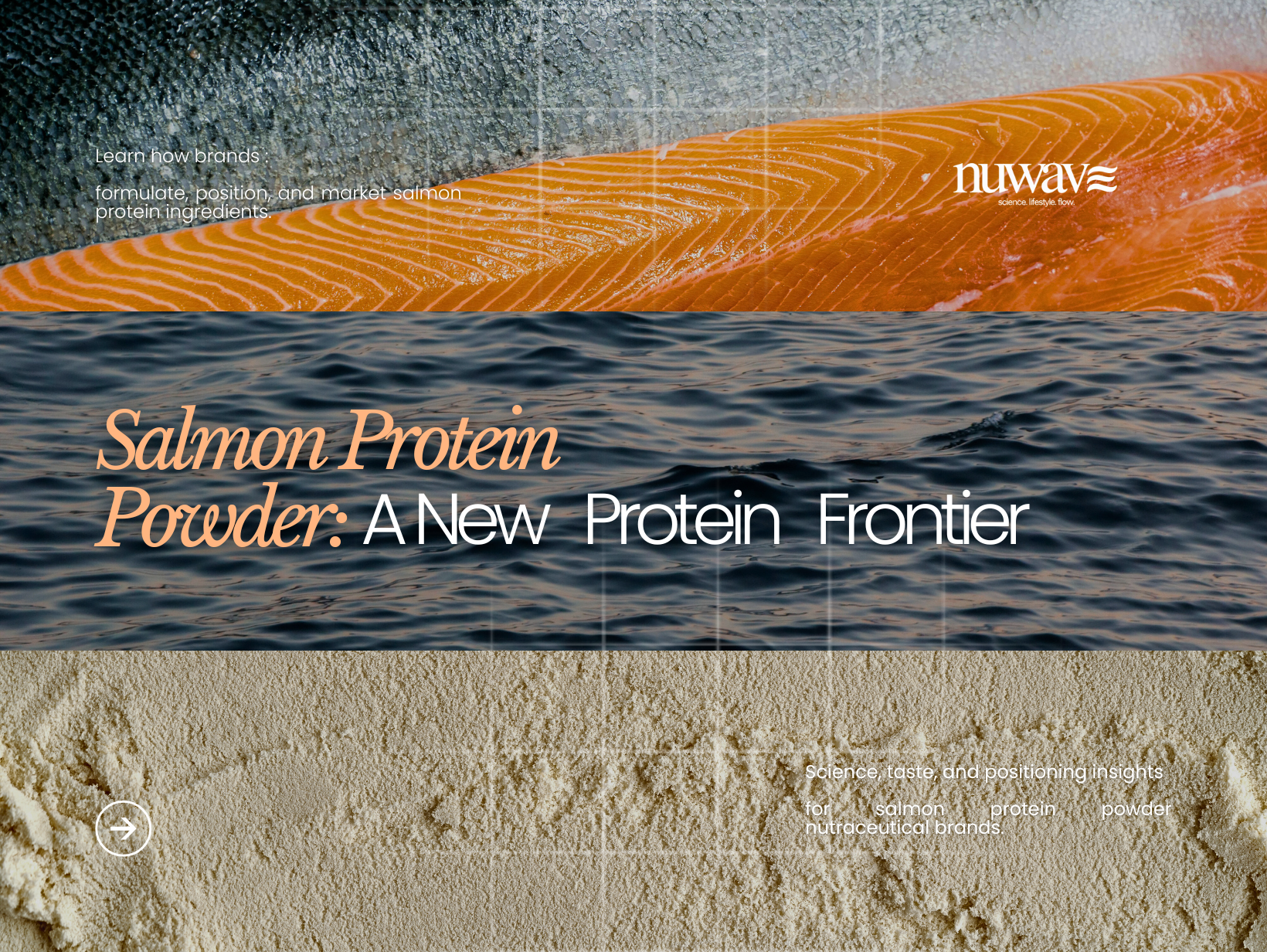 Salmon Protein Powder for Brands: What to Know About Sensory, Claims, and Consumers